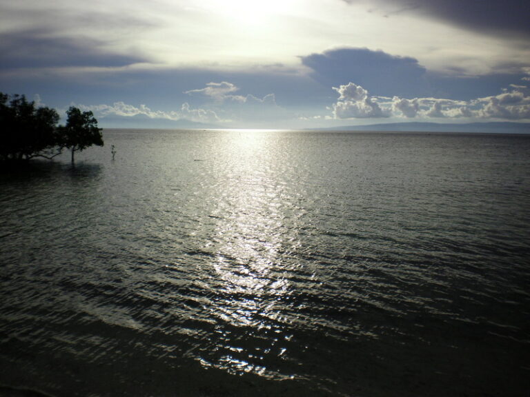 Meer
